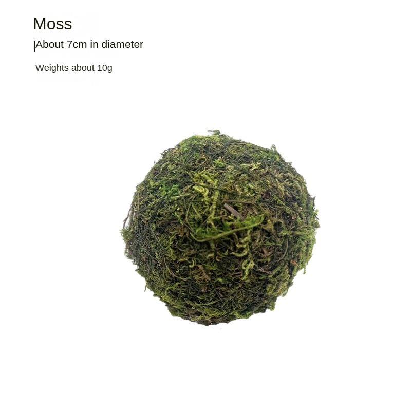 Moss Ball