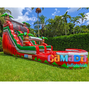 Tobogán acuático <span class=keywords><strong>de</strong></span> verano superventas, tobogán acuático inflable rojo <span class=keywords><strong>de</strong></span> mármol Tropical <span class=keywords><strong>de</strong></span> palmera, <span class=keywords><strong>deslizador</strong></span> húmedo <span class=keywords><strong>de</strong></span> 18 pies, 20 pies y 22 pies con piscina grande - Product Image 6