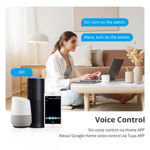 Zemismart Tuya Zigbee Smart Switch 20A Brasil <span class=keywords><strong>Socket</strong></span> Homekit Switch Alexa Google Home Siri Control de voz <span class=keywords><strong>WIFI</strong></span> US Tomada Plug - Product Image 2