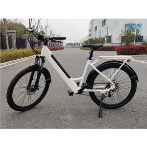 Ebike Ban Sepeda Gunung Elektrik, Ban Sepeda Gunung Elektrik, Suspensi Penuh, 48V 10ah, Ebike 500W 7 Kecepatan, Eu Warebike