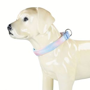 Nouveaux accessoires pour animaux de compagnie, collier pour chien robuste avec boucle en métal, colliers pour promenades, collier durable pour chien pour l'extérieur et l'entraînement - Product Image 3