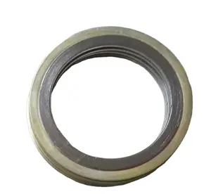 Custom Gasket Metal Ring Seal Insulation Kit Spiral Wound Gasket Flat Face Metal Winding Gasket