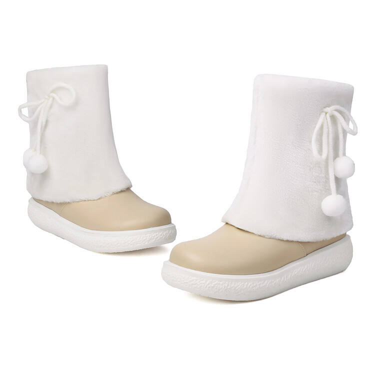 แอปริคอท