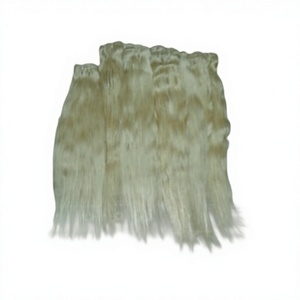 Extensions de cheveux indiens Remy lisses blond 613 à double trame avec pointes à simple trame et bruts - Product Image 3