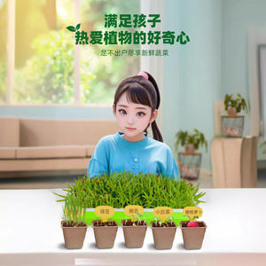 Kit de culture de légumes DIY pour enfants et adolescents, laboratoire scientifique de plantation, ensemble de jouets éducatifs de biochimie avec germination - Product Image 5