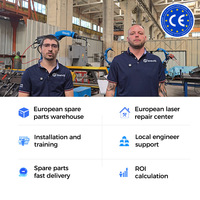 Robot de Corte Láser de Fibra Metálica Automático de 6 Ejes Industrial con Motor Central y Componentes PLC