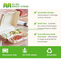 Boîtes à emporter personnalisées 8x8 pouces en bagasse biodégradable et compostable pour hamburgers