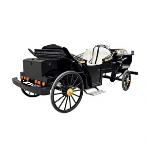 Precio de Fábrica al por Mayor XCEGO Carroza Eléctrica Europea de Dos Filas con Estructura de Acero, sin Caballos, Estilo Princesa Cenicienta, para 4-6 Personas - Product Image 5