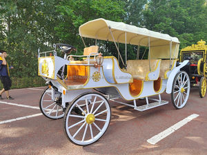 Carruaje de caballos eléctrico de 9 plazas de lujo para turismo y bodas Transporte especial - Product Image 3