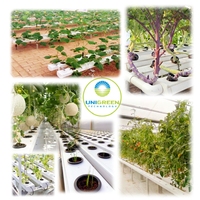 Système de culture hydroponique indépendant NFT Channel System, canal NFT en PVC de 100x50 mm, 3 m, réservoir NFT, table hydroponique pour la culture de légumes en intérieur