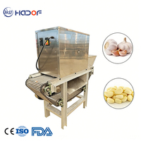 Éplucheur d'ail commercial Machine d'épluchage de peau d'ail sèche commerciale entièrement automatique avec compresseur d'air