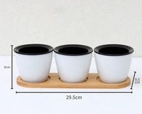 Petits Pots d'intérieur et d'extérieur pour plantes, jardin, arrosage automatique pour herbes, fleurs et plantes succulentes, en plastique blanc
