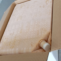 Sac BIB de qualité alimentaire 22L transparent, sac aseptique pour liquides avec bec verseur, anti-fuite, bouchon refermable pour jus de fruits