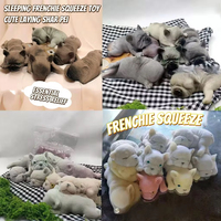 Jouet Squishy Chien Français 2026 Nouveau Anti-stress Sensoriel en Silicone Non Toxique pour Enfants et Adultes Certifié ASTM/EN71 Durable