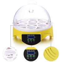 Incubateur miniature de qualité pour 7 œufs de poulet, de canard, d'oiseau, de pigeon - Contrôle numérique de la température, accessoire de nettoyage de cuisine