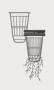 Guci tanaman ramuan Basil organik Modern, Kit lantai kondisi dalam ruangan pemasangan luar ruangan dengan pot indah termasuk dalam ruangan - Product Image 6