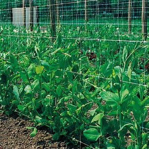 Malla de soporte para plantas de agricultura Huike de plástico con corte y estiramiento para pepinos, <span class=keywords><strong>guisantes</strong></span> y frijoles - Product Image 5