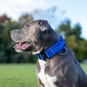 Hoge Kwaliteit Gespecialiseerde Hondentraining Tactische Halsband