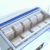 Machine d'emballage sous vide domestique pour aliments en briques de petite taille, emballage de collations multicabezal