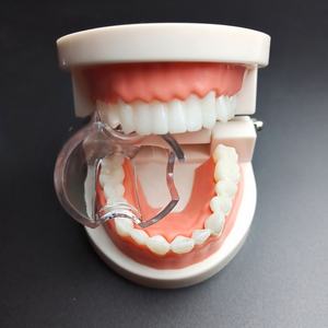 Hersteller Dental Kiefer ortho pä dische transparente Kunststoff Wangen re traktoren Zahn aufhellung Mund öffner - Product Image 6