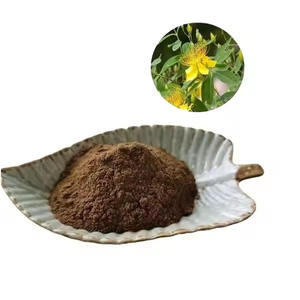 Заводская поставка, высококачественный экстракт Hypericum Perforatum St. Johns, экстракт сусла, гиперицины 0.3% 0.5% - Product Image 1