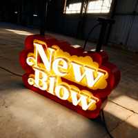 Lettres de logo en acrylique 3D miniatures, rétroéclairées et éclairées par l'avant, enseigne lumineuse pour la publicité murale