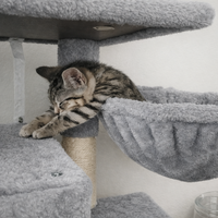 Arbre à chat multi-niveaux en peluche écologique de haute qualité avec poteaux à gratter en sisal et structure d'escalade en velours pour chats d'intérieur (en carton)