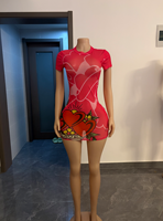 G99999C 2026 Summer Hot Sale Women Print Mesh Dress