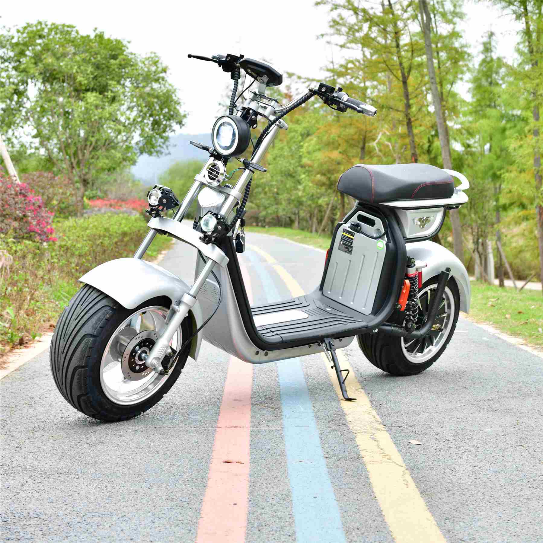 1500W3000W大人用電動スクーター台湾の電動バイクSealupレンタル