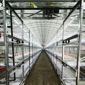 Suelo de plástico para aves de corral de pollo de nueva condición para 10000 pájaros equipo automático de cría de animales y aves - Product Image 3