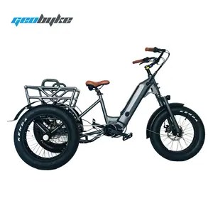 48V 500W Electric Tricycle for Adult Cargo Bike 3 wheel with Mid Driving Motor