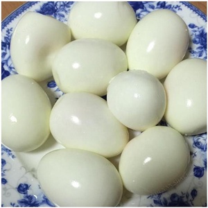 Máquina Peladora de Huevos de Gallina Hervidos y Pelados - Product Image 3