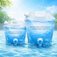 Pochettes souples verticales avec bec verseur 3L 5L 10L, qualité alimentaire, réutilisables, pour emballage de liquides (café, boissons, eau, jus, boissons chaudes), OEM