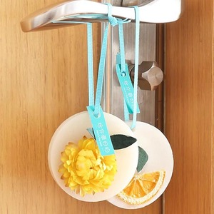 Scented Wax Tablets Circle Shape Air Freshener For Home Decoration Random Color - Product Image 4