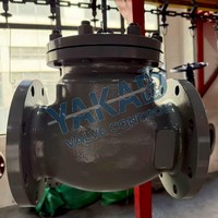 Edelstahl-Rückschlagventil mit Flansch RF Klasse 150 PN16 für Industrielle Rohrleitungen und Pumpenauslassanlagen