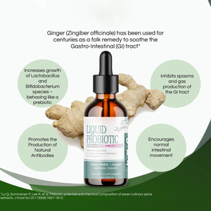 Hot Selling <strong>Vegan</strong> Liquid <strong>Probiotic</strong> Drops With Prebiotic Ginger Root 8 Live Strains 3 Enzymes for Healthy Digestion Gut Comfort - Product Image 5