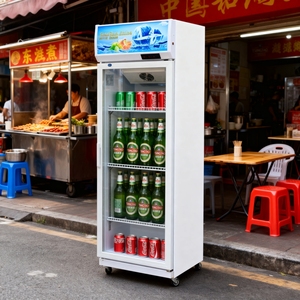 Congélateur vertical commercial avec contrôle mécanique de la température, porte vitrée, étagères réglables, refroidissement direct et par air - Product Image 1