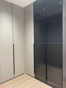 Moderner Luxus-Begehschrank mit Soft-Touch-Schwingtür + Schwarzer Glasschiebetür + Boden-bis-Decke-Reichender Aufbewahrungsschrank - Product Image 1