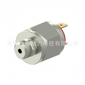 Interruptor de Presión Wabco G1/4 de Latón, 100 Psi, Interruptor de Control de Aire IP54 - Product Image 3