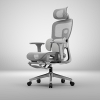 Chaise de bureau ergonomique entièrement en mesh avec appui-tête 3D, accoudoirs 9D, chaise de bureau pivotante Anji, chaise de bureau de luxe pour ordinateur avec repose-pieds