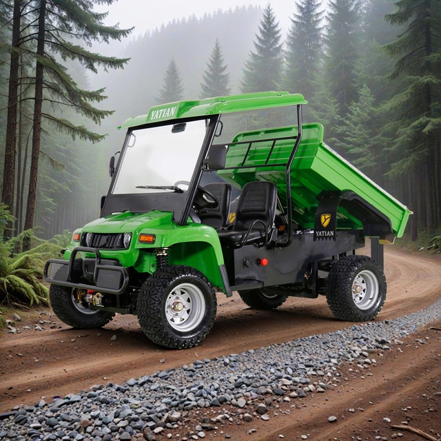 Off-Road Electric UTV with 4 Wheel Drive