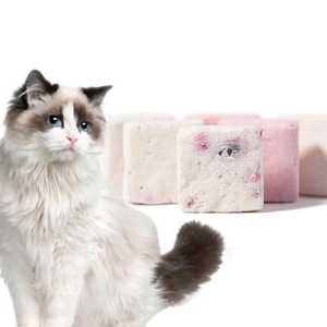 OEM ODM Traitements pour animaux de compagnie personnalisés : Friandises pour chats en forme de bandelettes de yaourt lyophilisé, Cubes de yaourt pur lyophilisé, Aliments pour animaux de compagnie lyophilisés aux fruits mélangés - Product Image 1