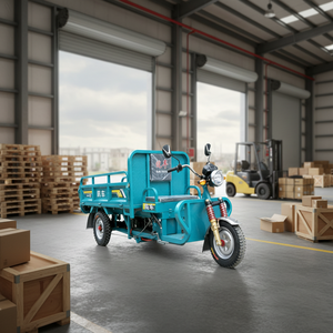 Multifunctionele elektrische vracht-driewielers met grote capaciteit, <span class=keywords><strong>3</strong></span>-wiel elektrische driewieler voor transport - Product Image 1