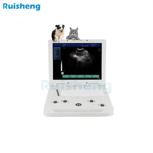 2024 Ruisheng Laptop Veterinário Ultrassom Ultrassom Abdominal para Cães de 15 Polegadas para Clínica de Animais de Estimação Hospital
