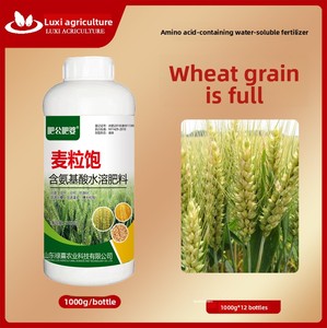 특수 퇴비 밀 통통한 씨앗 제어 과성장 고수익 발아 저항 숙박 감소 경사진 풀 그레인 - Product Image 2