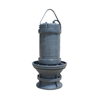 Bomba Sumergible de Flujo Axial de Diseño Compacto para Instalación en Pozos Estrechos