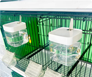 Accessoires <span class=keywords><strong>pour</strong></span> cage à oiseaux, mangeoire automatique <span class=keywords><strong>pour</strong></span> <span class=keywords><strong>canaris</strong></span>, boîte et gobelet <span class=keywords><strong>pour</strong></span> oiseaux, support <span class=keywords><strong>de</strong></span> suspension <span class=keywords><strong>pour</strong></span> perroquet, distributeur d'eau <span class=keywords><strong>pour</strong></span> petits, moyens et grands oiseaux - Product Image 3