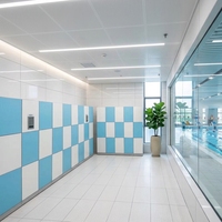 Casier de rangement pour piscine à monnayeur Easy Locker E-380 -IMD en plastique ABS imitation bois, résistant à la rouille et étanche