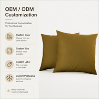 Housse de coussin décorative multicolore OEM ODM, housse de coussin de couleur unie