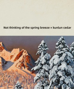 Crema Profumata Eau De Parfum con Fragranza Legnosa 'Not Missing Spring Breeze' - Product Image 6